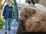 Miranda takes Patti for walkies… after telling of her ‘sadness’ over death of beloved pet