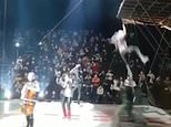 German circus performer crashes 20ft to the floor when rollerblade leap goes wrong [Video]