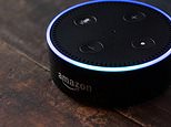Alexa crashes leaving users across the UK unable to get a response from their Echo speakers 
