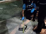 British tourist is hacked to death with a SICKLE in Thailand by ‘local man who attacked him’