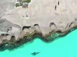 Swimmers stranded on famous tourist rock as gigantic shark circles below in Western Australia