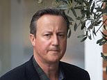 ANDREW PIERCE: David Cameron hits rocky patch with his own company 