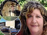 Truck crash involving the transportation of around a hundred monkeys lab has sparked infection fears