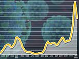 England’s Covid outbreak WAS still shrinking last week