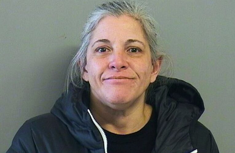 29 charged in 6-state shoplifting ring that hit pharmacies