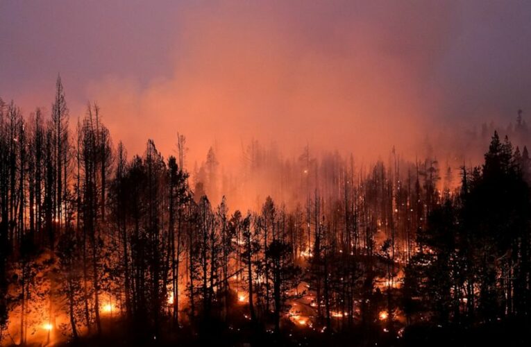 US plans $50B wildfire fight where forests meet suburbia