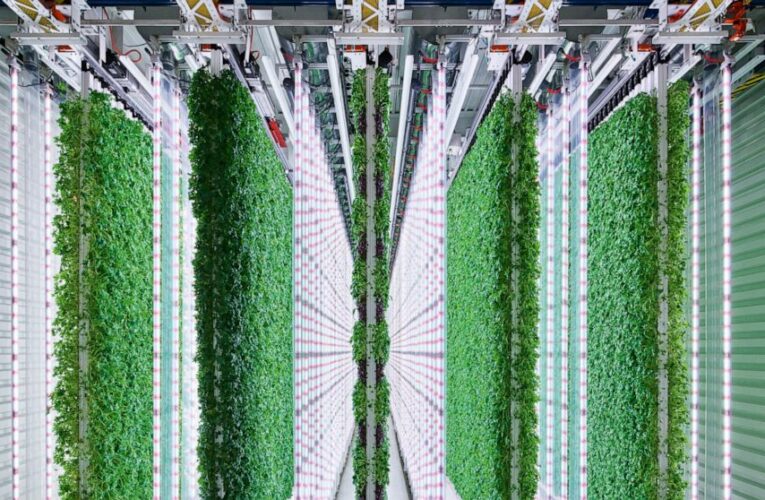 Walmart invests in indoor vertical farming startup Plenty