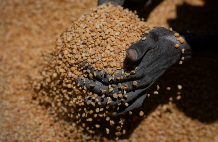 Report: 5,000-plus deaths under Ethiopia’s Tigray blockade