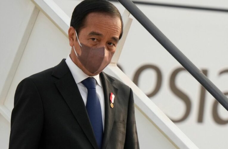 Indonesia wants to use G20 presidency to aid COVID rebound