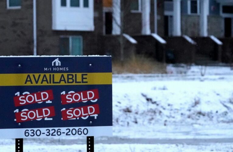 US new home sales jump in December as prices fall