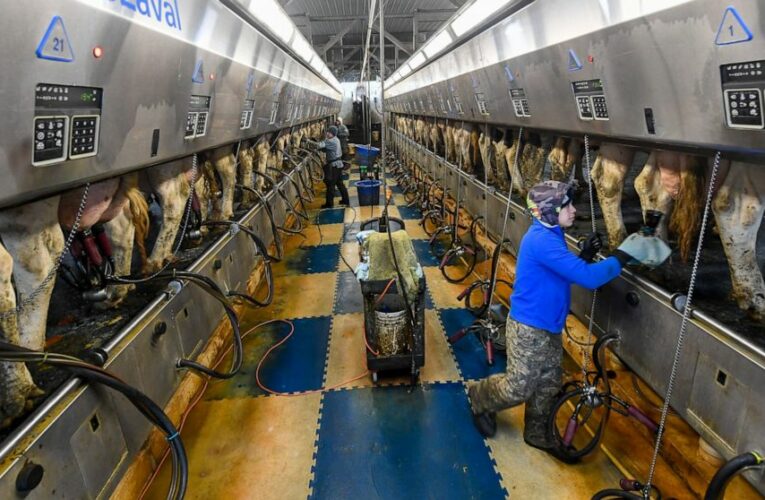 Farmers alarmed as NY looks at expanded OT for their workers