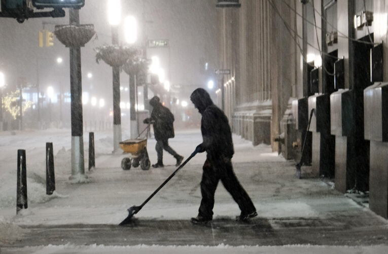 Frozen iguanas could fall from trees due to cold temperatures in Florida, weather center warns