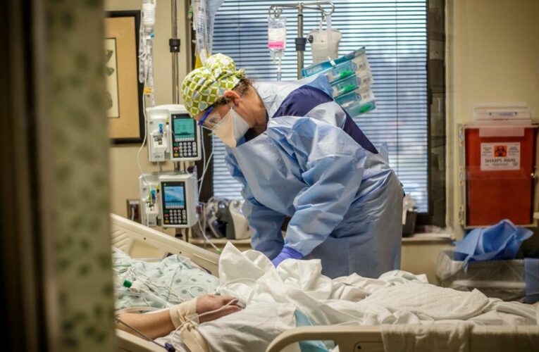 What the US is seeing right now with Covid cases and deaths