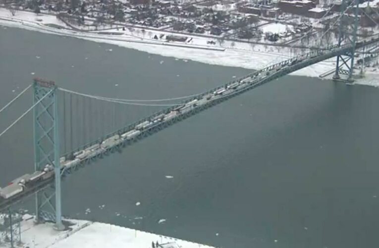 Canadian protesters block access to major border crossing as demonstrations against Covid-19 measures continue