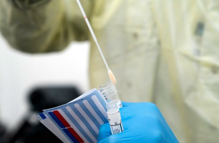 BA.2 is highly mutated compared with the original Covid-causing virus, and new research gives an early look at what scientists are seeing