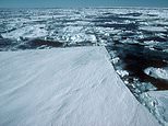 Antarctic sea ice levels are now at their lowest on record