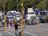 New Zealand is hit by Canada-style freedom convoy