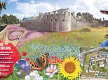 Astonishing plan to turn Tower of London’s royal moat into flower meadow