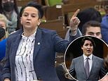 Trudeau slammed for accusing Jewish Conservative MP of standing ‘with people who wave swastikas’