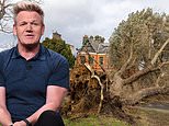 Gordon Ramsay’s &pound;7m mansion has a lucky escape as Storm Eunice uproots huge tree