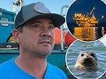 Boater who fell into the ocean off Santa Barbara coast swam FIVE HOURS to an oil rig nudged by seal