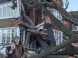 Huge 400-year-old oak tree crashed through roof of home during Storm Eunice 