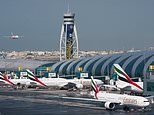 Dubai airport is named world’s busiest for international travel for eighth year in a row&nbsp;