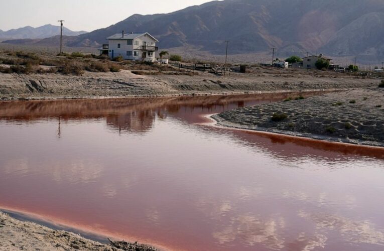 Biden wants to cut into China’s electric battery dominance