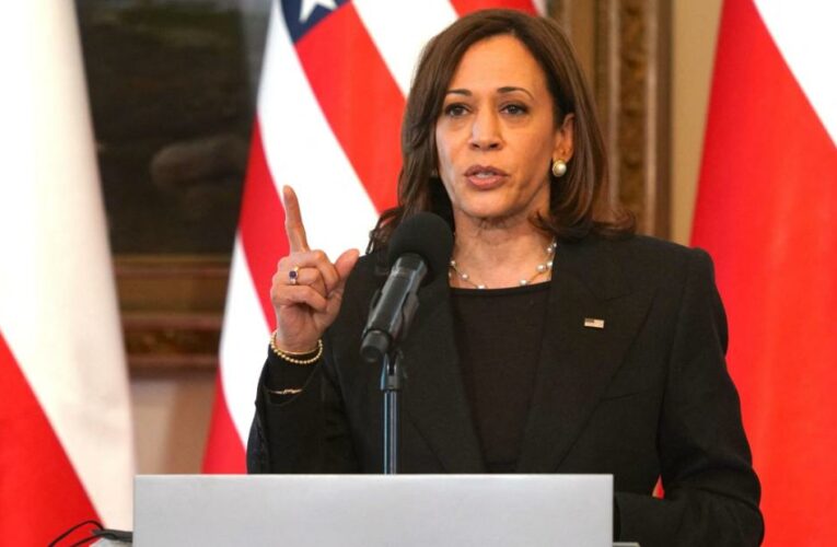 Harris emerges as Biden’s top-ranking envoy to Europe after navigating thorny diplomatic assignment