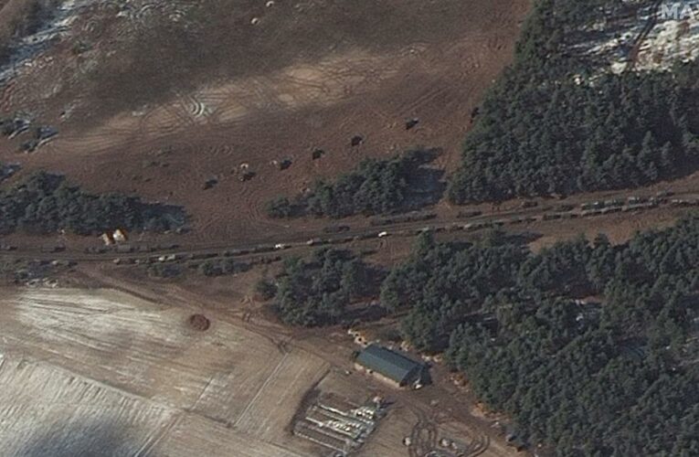 New satellite images show parts of the stalled convoy near Kyiv have ‘relocated’ to areas with tree cover
