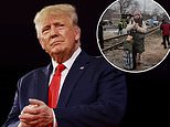 Trump says we ‘can’t let’ the situation in Ukraine continue and slams ‘paper tiger’ NATO