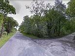 Three-month-old baby girl dies after being savaged by dog in woods as man and woman arrested