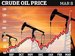 Putin threatens to turn OFF gas pipeline to Europe and warns oil will hit $300 a barrel