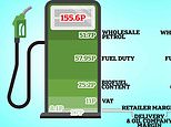 Fuel tax: As prices rise, could UK Government really cut it to help drivers?