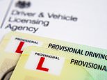 A million drivers are hit by delays in licence processing over DVLA backlog 