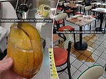 The customer is not ALWAYS right! Photos will leave you shocked at how bad customer-facing work is
