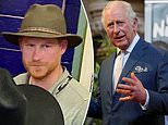 Not his first rodeo? Prince Harry turns cowboy  – and more on this week’s unmissable royal chat show