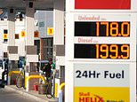 Experts warn diesel sales may be restricted from as early as NEXT MONTH amid fears of fuel shortage