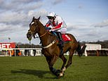 Animal groups call for end to Cheltenham after horse dies on festivals first day