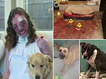Texas student, 22, who was bitten 800 TIMES by dog reveals her face for the first time since attack
