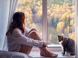 A woman is enraged after her cat regularly chooses her neighbour’s house
