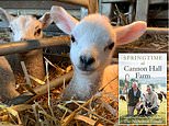 A lamb’s life gives them plenty to bleat about!