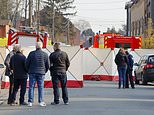 Six killed as car ploughs into crowd at Belgium carnival