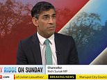 Rishi Sunak drops hint he could CUT fuel duty in Spring Statement to help hard-pressed families
