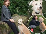 In a touching tribute, KATE SPICER recounts the tear-jerking tale of her dog Wolfy’s final hours