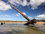 First World War German shipwreck is uncovered on a Cornish beach after storms