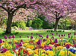 The bleakness of the world can seem overwhelming, but springtime will never let you down!