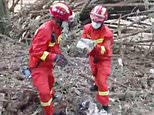 Passengers on doomed Chinese jet were ‘totally incinerated’ on impact, rescuers reveal