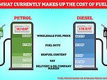 Fuel duty explained: What is it and how does it impact petrol prices?