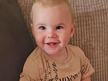 Dog which killed Bella-Rae was not a banned breed, Merseyside Police confirm